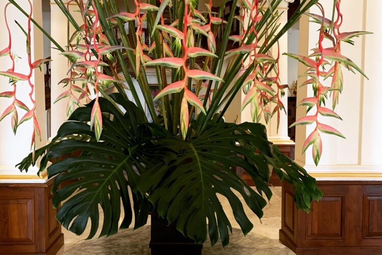 Splendiferous!... 18 *