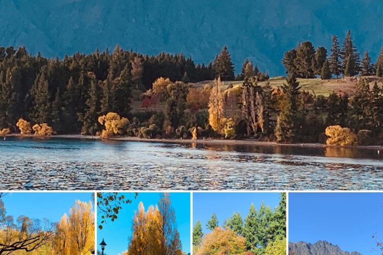 Autumn In Queenstown... 25 *