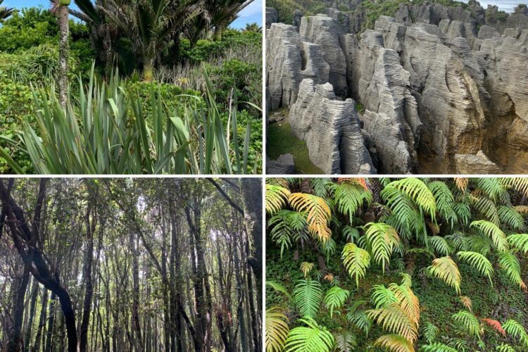 Composition Of Form And Structure... 13 *