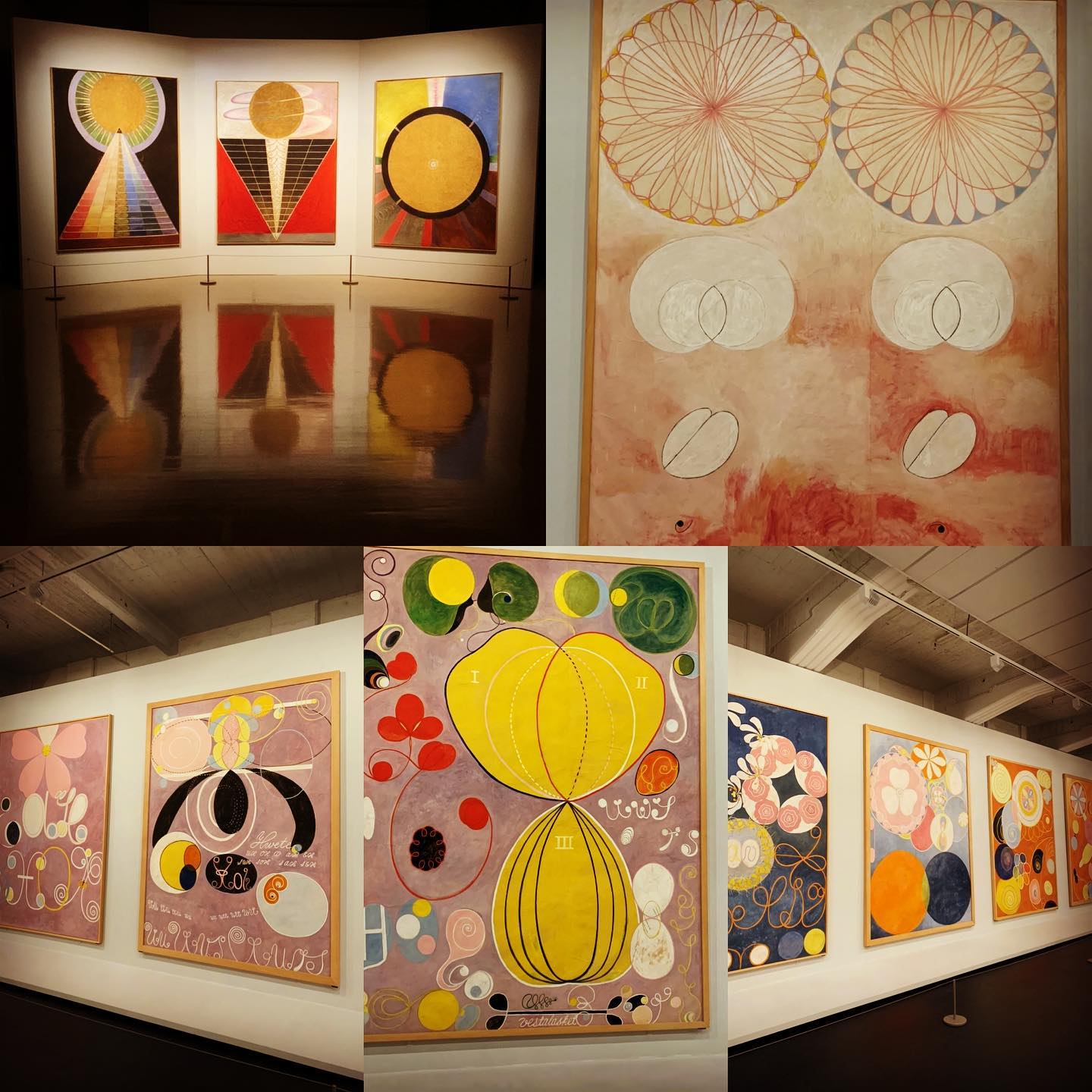 Wendy bradford interior design - renowned wellington based interior designer - hilda af klint the secret paintings at the wellington city 1