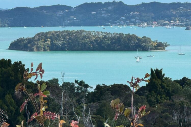 Colours Of Nature... 6 *